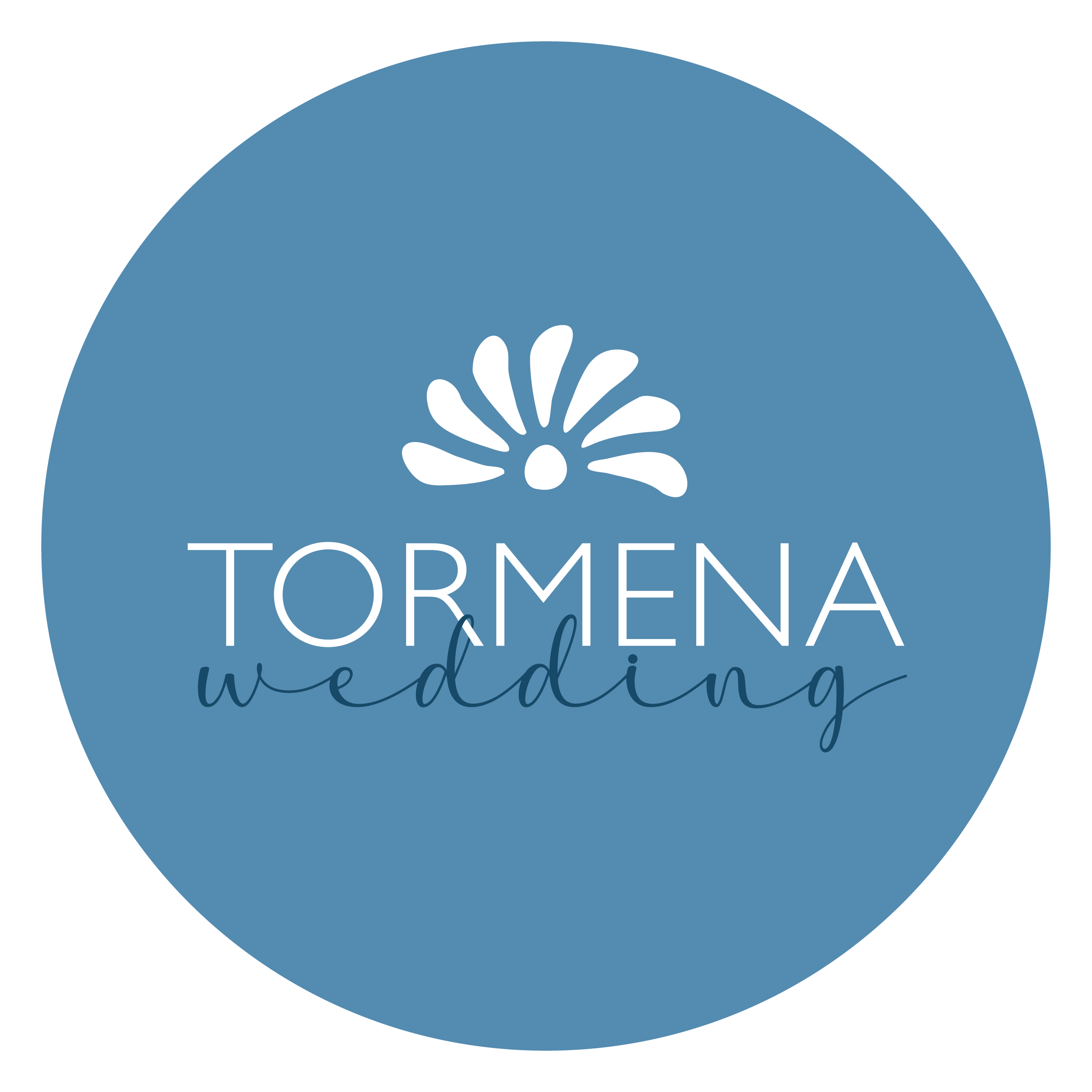 logo main